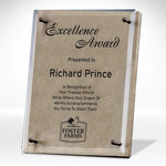 Large Bronze Luxury Award with Sand Etching and Color Fill