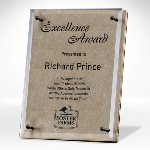 Large Bronze Luxury Award with Sand Etching and Color Fill